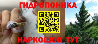 гидра Донской